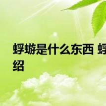 蜉蝣是什么东西 蜉蝣介绍