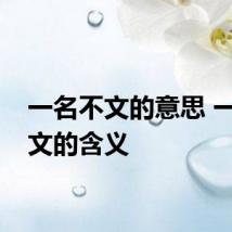 一名不文的意思 一名不文的含义