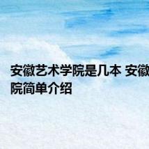 安徽艺术学院是几本 安徽艺术学院简单介绍