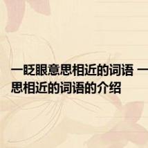 一眨眼意思相近的词语 一眨眼意思相近的词语的介绍