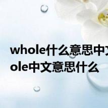 whole什么意思中文 whole中文意思什么