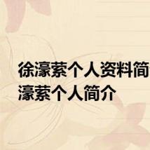 徐濠萦个人资料简介 徐濠萦个人简介
