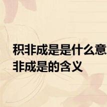 积非成是是什么意思 积非成是的含义