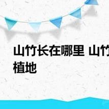 山竹长在哪里 山竹的种植地