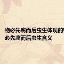 物必先腐而后虫生体现的哲理 物必先腐而后虫生含义