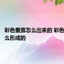 彩色蚕茧怎么出来的 彩色蚕茧怎么形成的