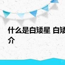 什么是白矮星 白矮星简介