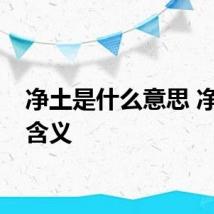 净土是什么意思 净土的含义