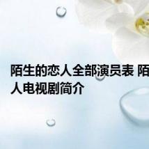 陌生的恋人全部演员表 陌生的恋人电视剧简介