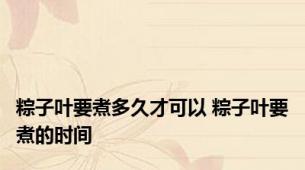 粽子叶要煮多久才可以 粽子叶要煮的时间