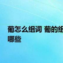 葡怎么组词 葡的组词有哪些