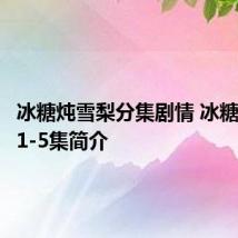 冰糖炖雪梨分集剧情 冰糖炖雪梨1-5集简介