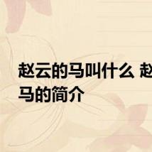 赵云的马叫什么 赵云的马的简介