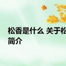 松香是什么 关于松香的简介