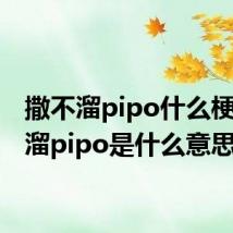 撒不溜pipo什么梗 撒不溜pipo是什么意思