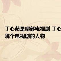 丁心茹是哪部电视剧 丁心茹出自哪个电视剧的人物