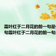 霜叶红于二月花的前一句是什么 诗句霜叶红于二月花的前一句是什么