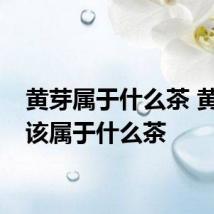 黄芽属于什么茶 黄芽应该属于什么茶