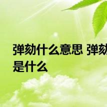 弹劾什么意思 弹劾意思是什么