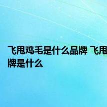 飞甩鸡毛是什么品牌 飞甩鸡毛品牌是什么