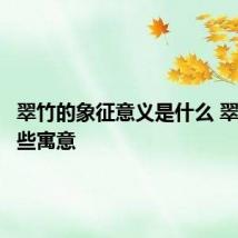 翠竹的象征意义是什么 翠竹有哪些寓意