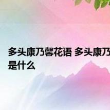 多头康乃馨花语 多头康乃馨花语是什么