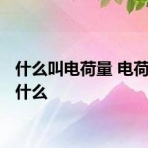 什么叫电荷量 电荷量叫 什么