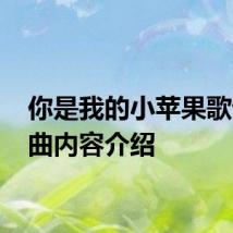 你是我的小苹果歌词 歌曲内容介绍