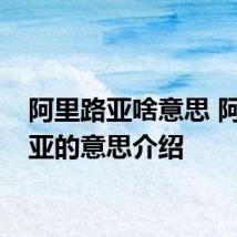 阿里路亚啥意思 阿里路亚的意思介绍