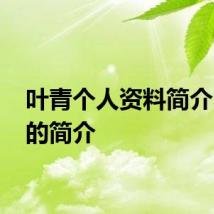叶青个人资料简介 叶青的简介