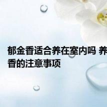 郁金香适合养在室内吗 养殖郁金香的注意事项