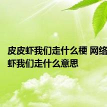 皮皮虾我们走什么梗 网络语皮皮虾我们走什么意思