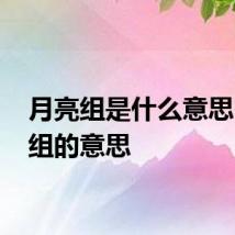 月亮组是什么意思 月亮组的意思