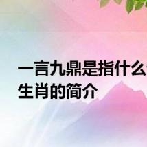 一言九鼎是指什么生肖 生肖的简介