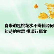 春来遍是桃花水不辨仙源何处寻这句诗的意思 桃源行原文
