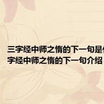 三字经中师之惰的下一句是什么 三字经中师之惰的下一句介绍