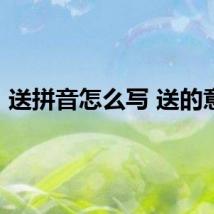 送拼音怎么写 送的意思