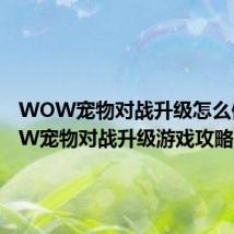 WOW宠物对战升级怎么做 WOW宠物对战升级游戏攻略