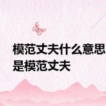 模范丈夫什么意思 什么是模范丈夫