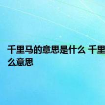 千里马的意思是什么 千里马是什么意思
