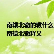 南辕北辙的辕什么意思 南辕北辙释义