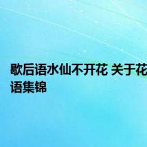 歇后语水仙不开花 关于花的歇后语集锦