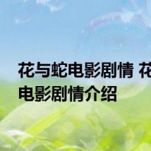 花与蛇电影剧情 花与蛇电影剧情介绍