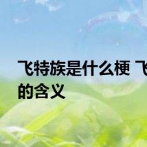 飞特族是什么梗 飞特族的含义