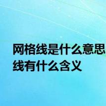 网格线是什么意思 网格线有什么含义