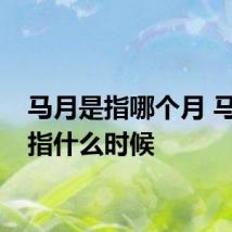 马月是指哪个月 马月是指什么时候