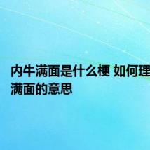内牛满面是什么梗 如何理解内牛满面的意思
