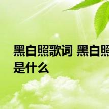 黑白照歌词 黑白照歌词是什么