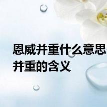 恩威并重什么意思 恩威并重的含义