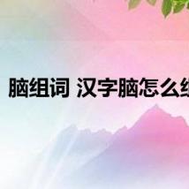 脑组词 汉字脑怎么组词